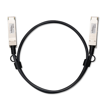 ZYXEL DAC100G-1M-ZZ0101F Кабель/ 100G QSFP28 Cable Zyxel DAC100G-1M, 1m